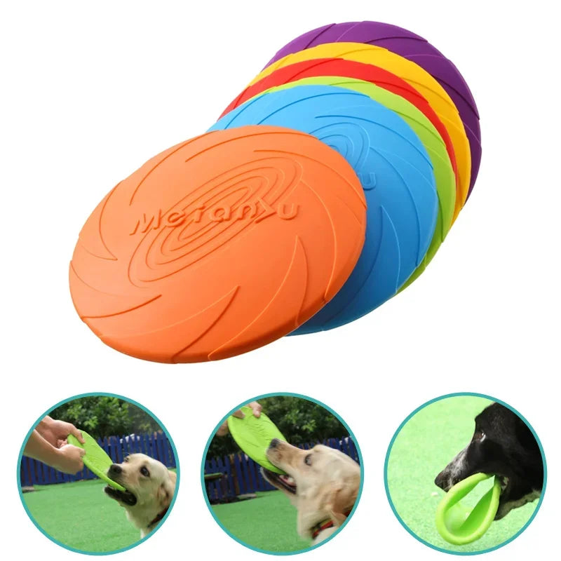 Dog Frisbee