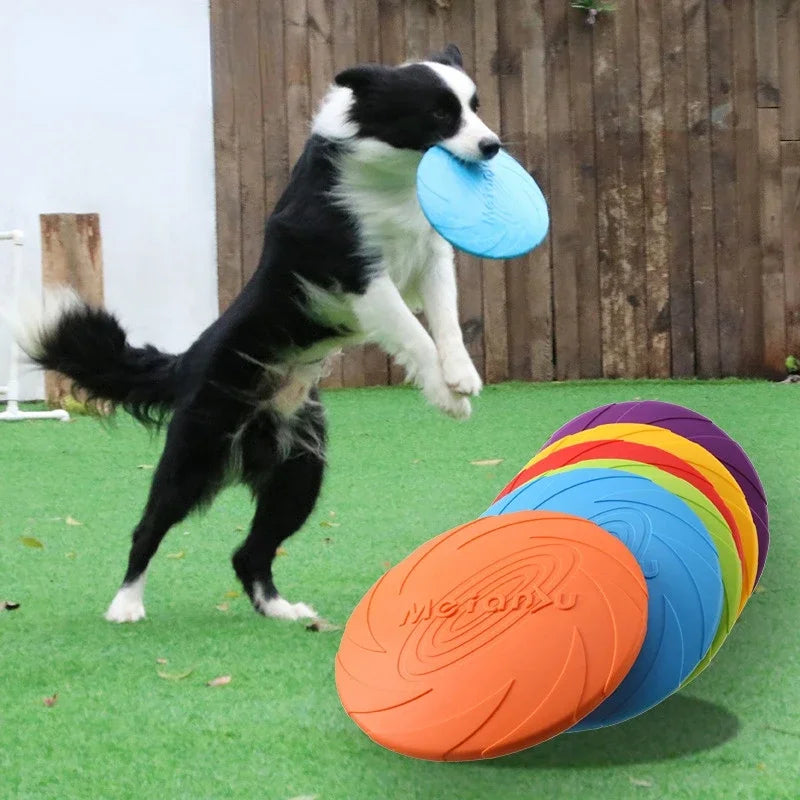 Dog Frisbee